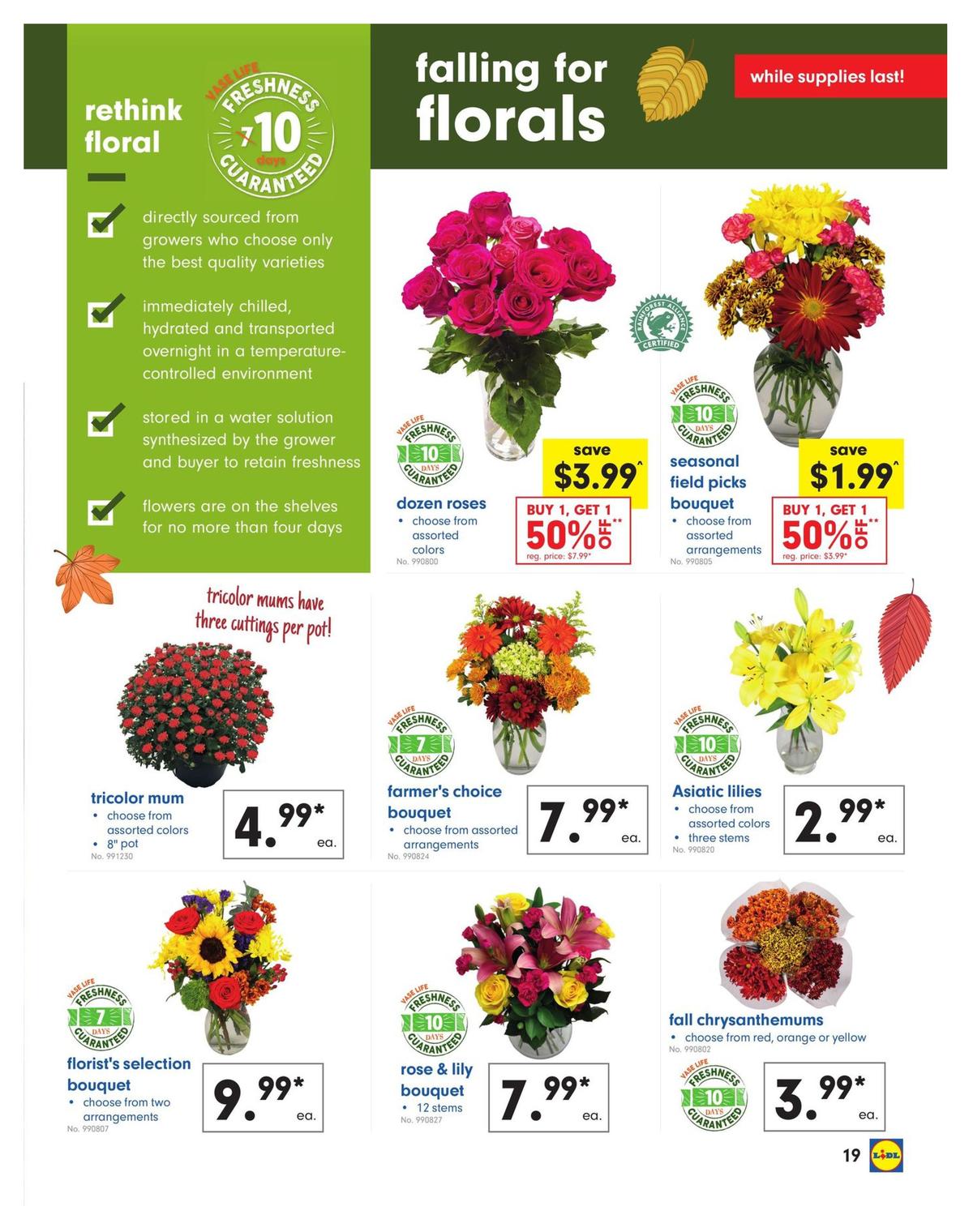 LIDL Weekly Ad from October 2