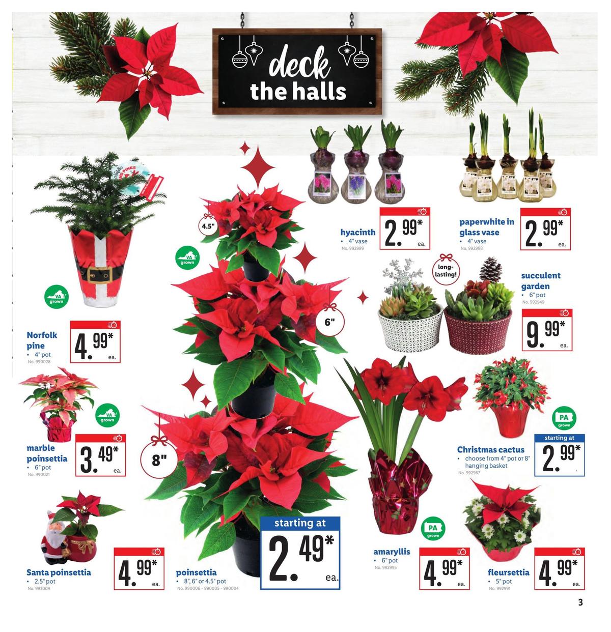 LIDL Weekly Ad from December 4