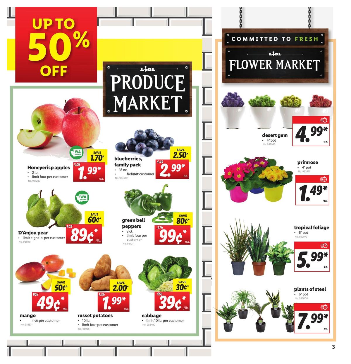 LIDL Weekly Ad from January 1