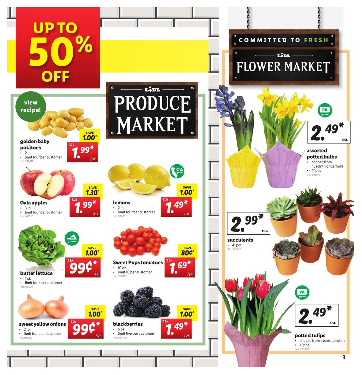 LIDL Weekly Ad from January 8