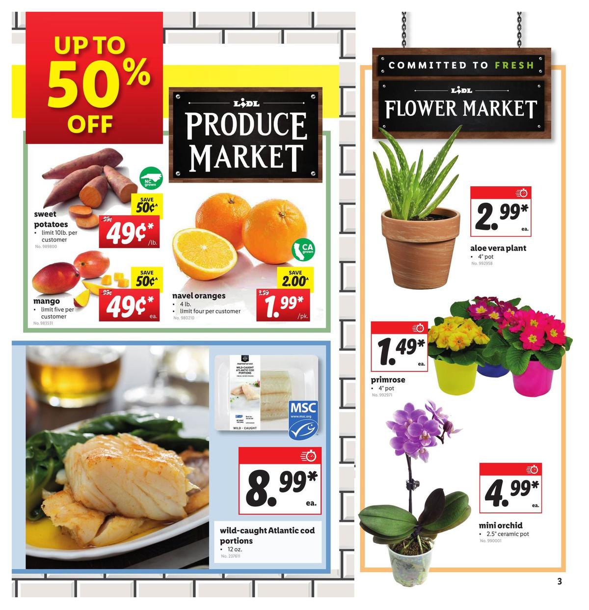 LIDL Weekly Ad from January 15