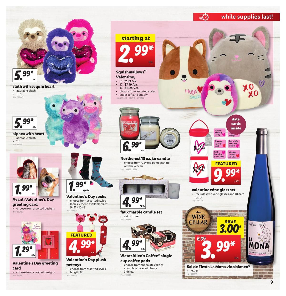 LIDL Weekly Ad from January 15