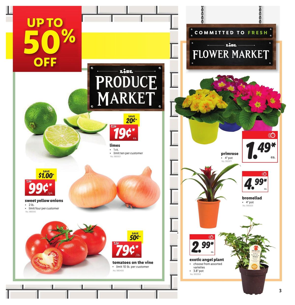 LIDL Weekly Ad from January 29