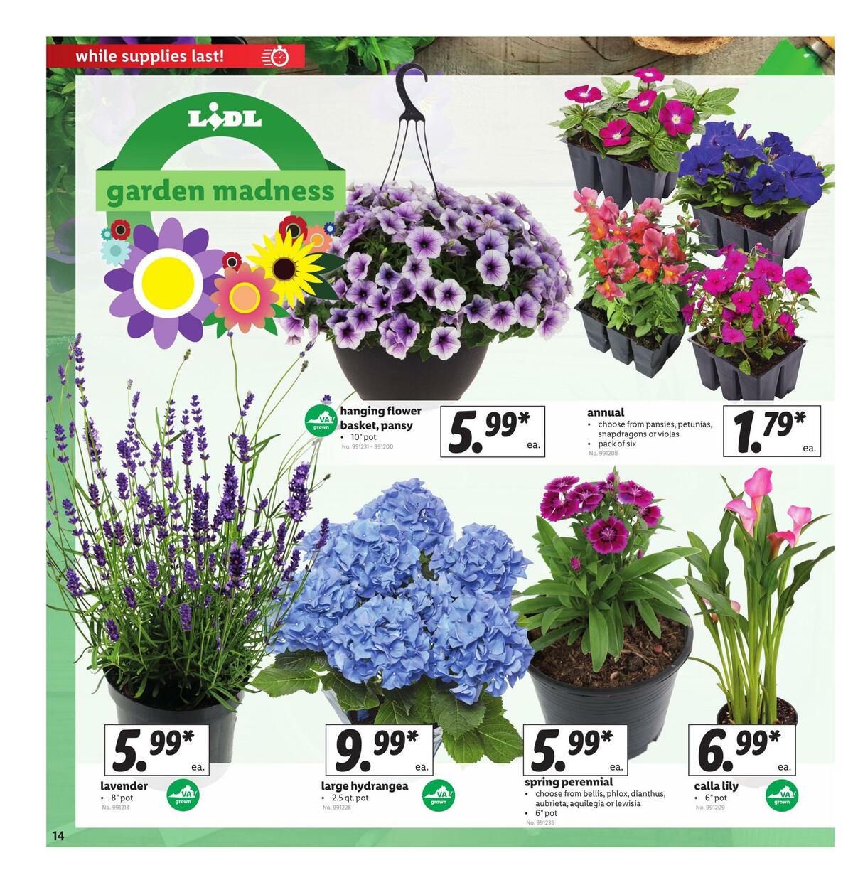 LIDL Weekly Ad from April 1