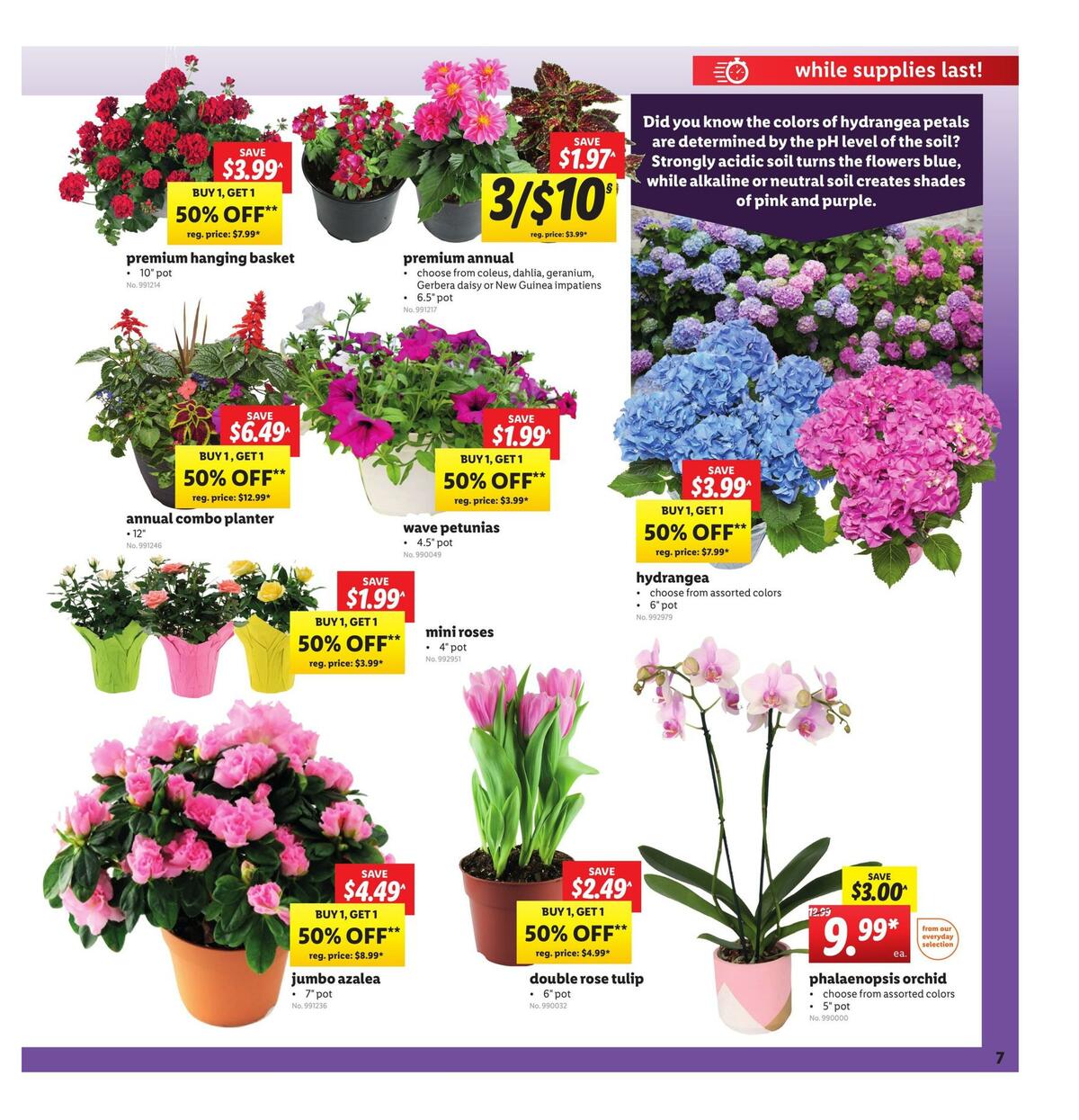 LIDL Weekly Ad from May 6