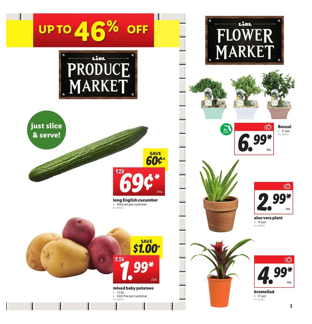 LIDL Weekly Ad from June 10