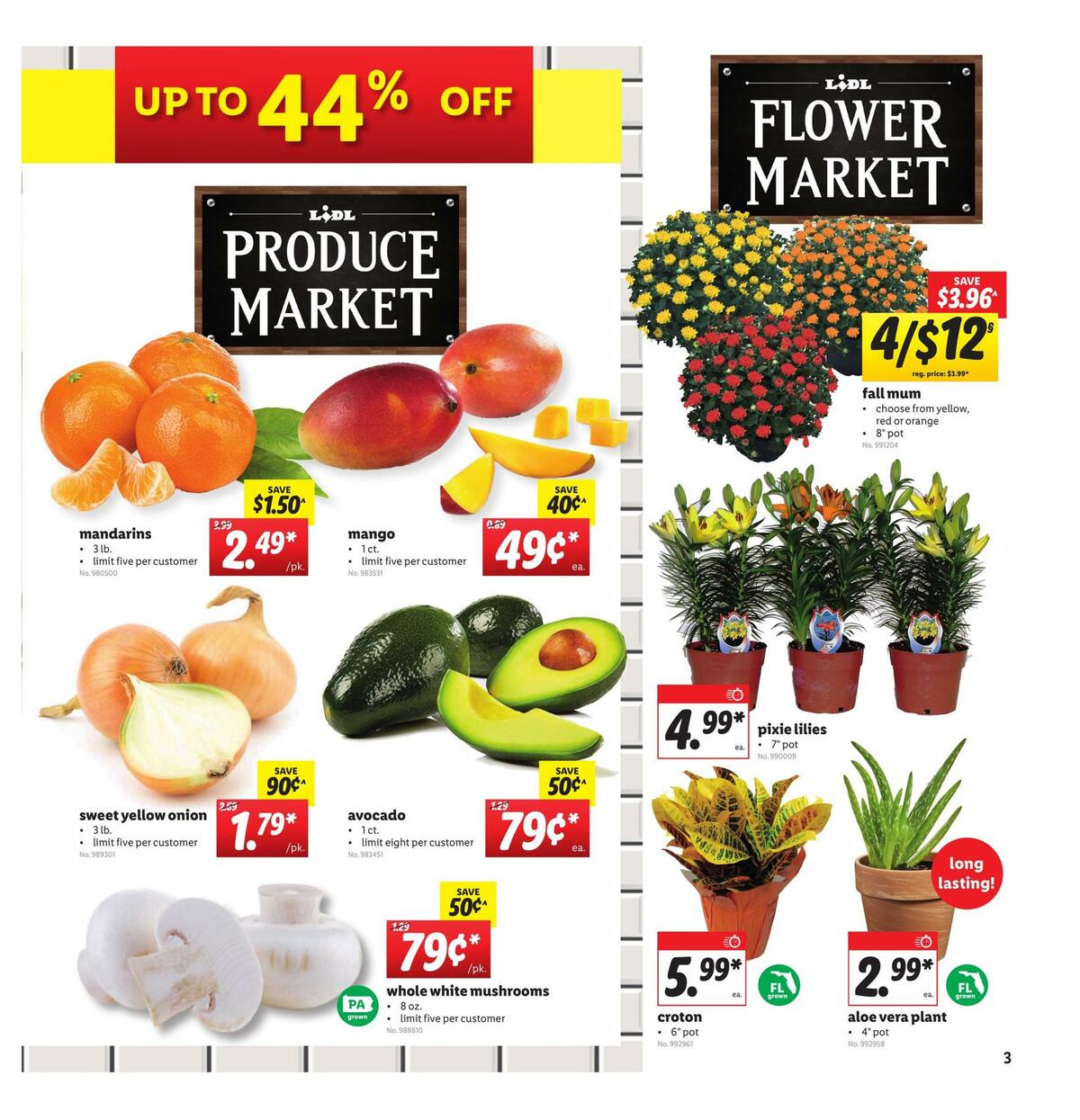 LIDL Weekly Ad from August 19