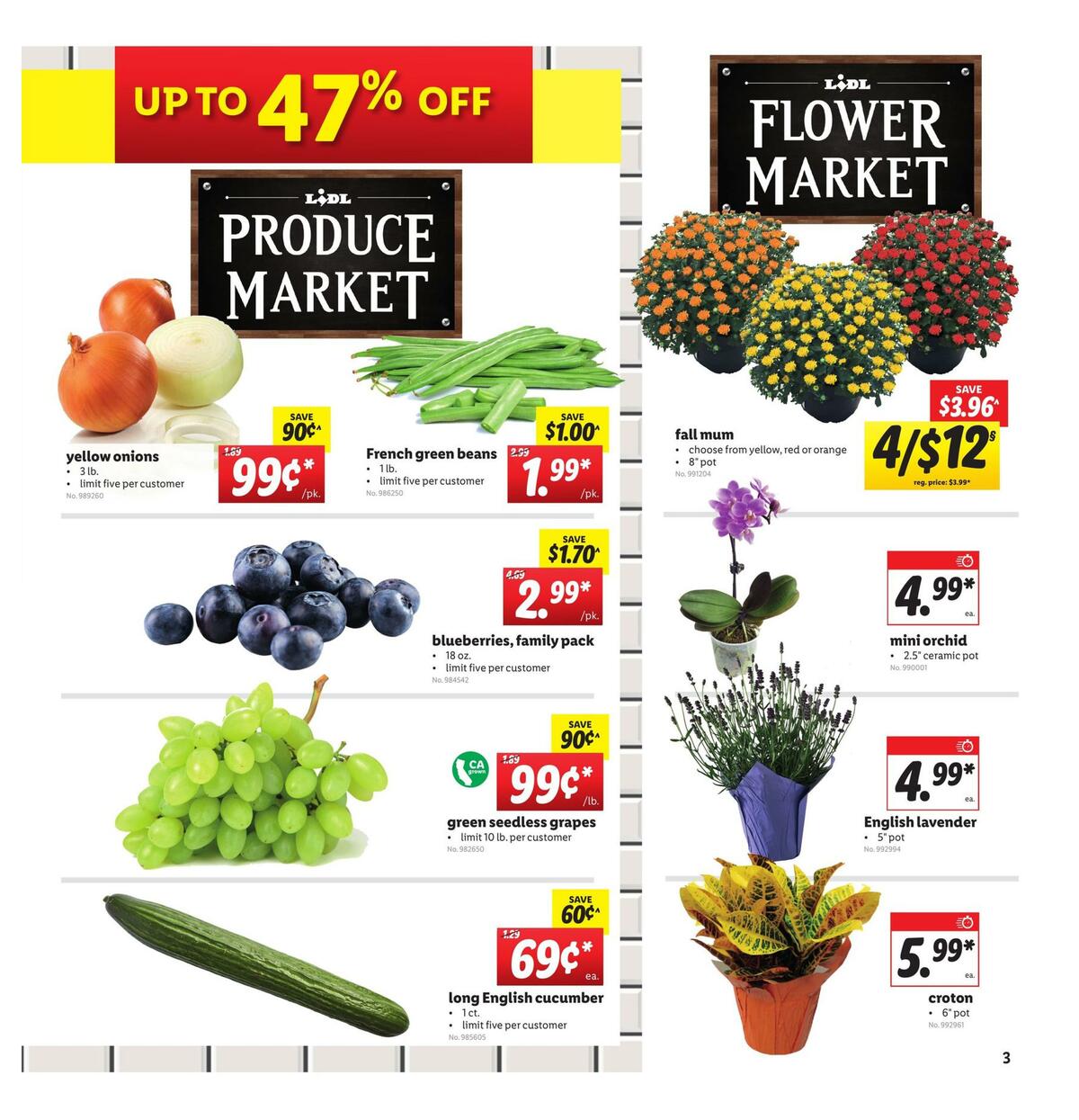 LIDL Weekly Ad from September 9