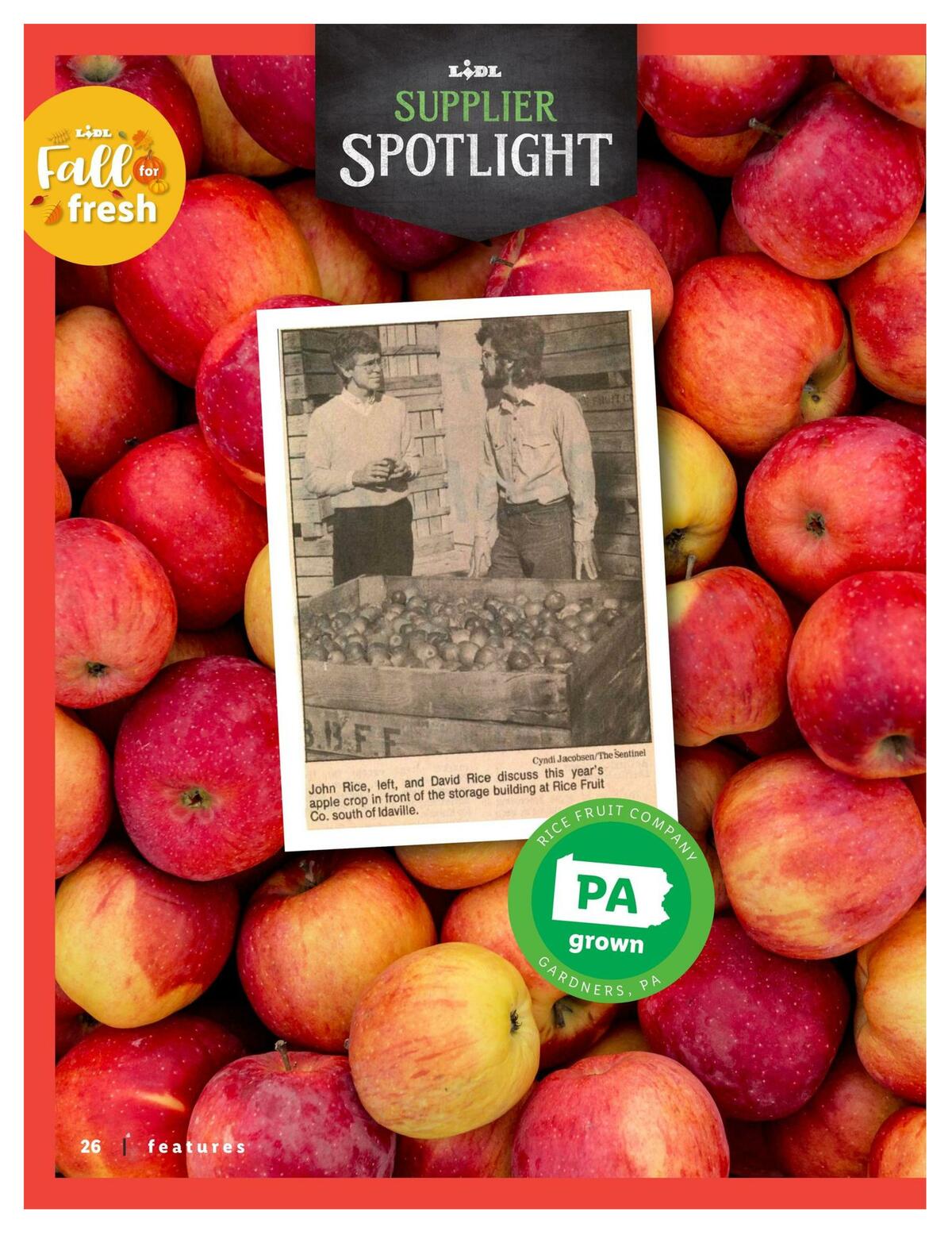 LIDL Magazine Weekly Ad from September 9