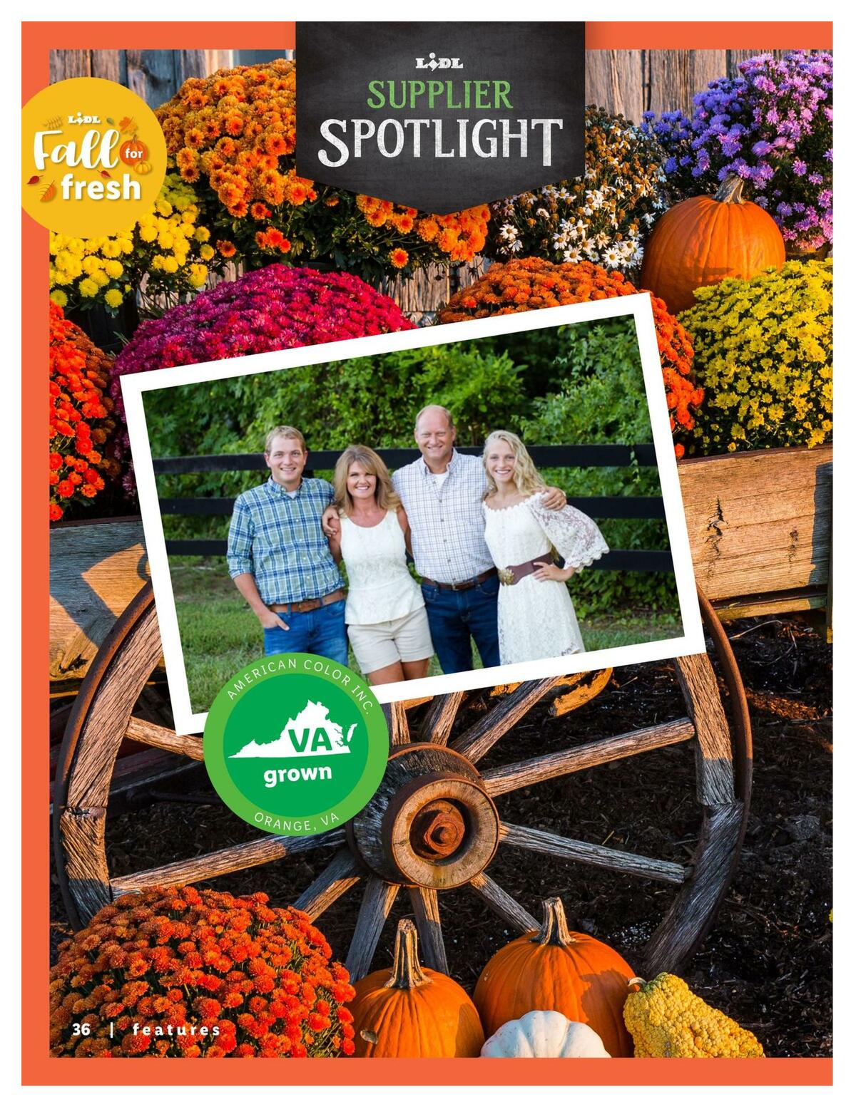 LIDL Magazine Weekly Ad from September 9