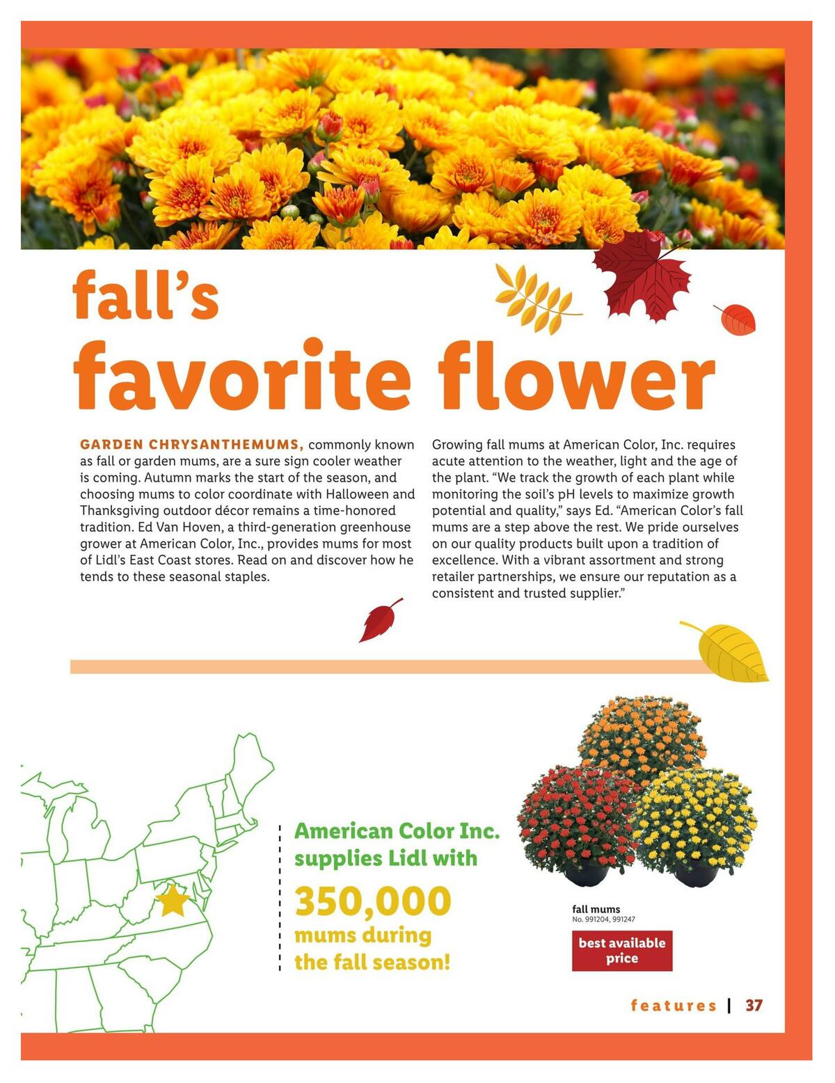 LIDL Magazine Weekly Ad from September 9