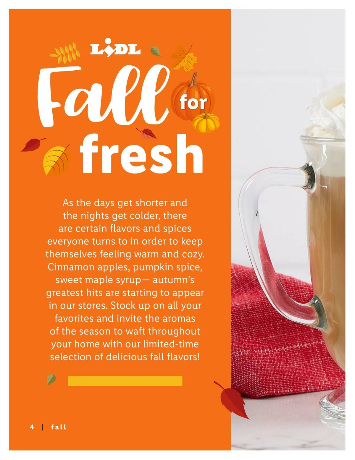 LIDL Magazine Weekly Ad from September 9