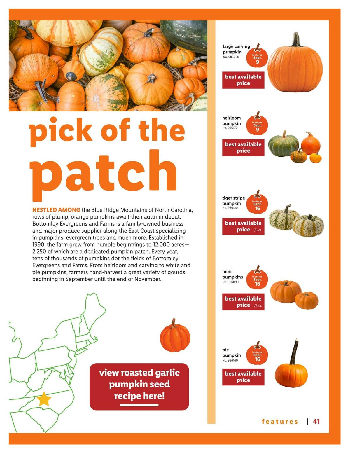 LIDL Magazine Weekly Ad from September 9