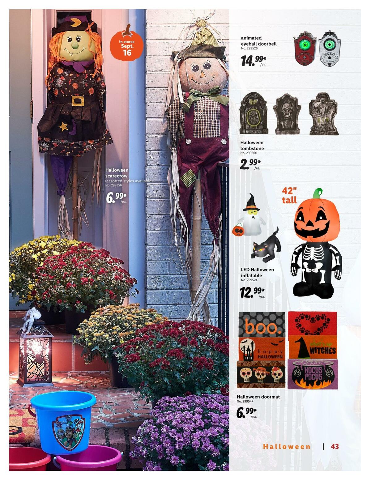 LIDL Magazine Weekly Ad from September 9