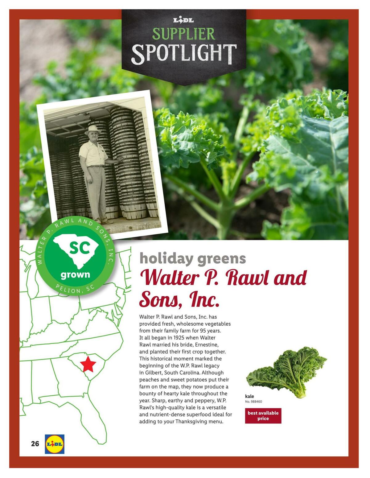 LIDL Magazine Weekly Ad from October 28