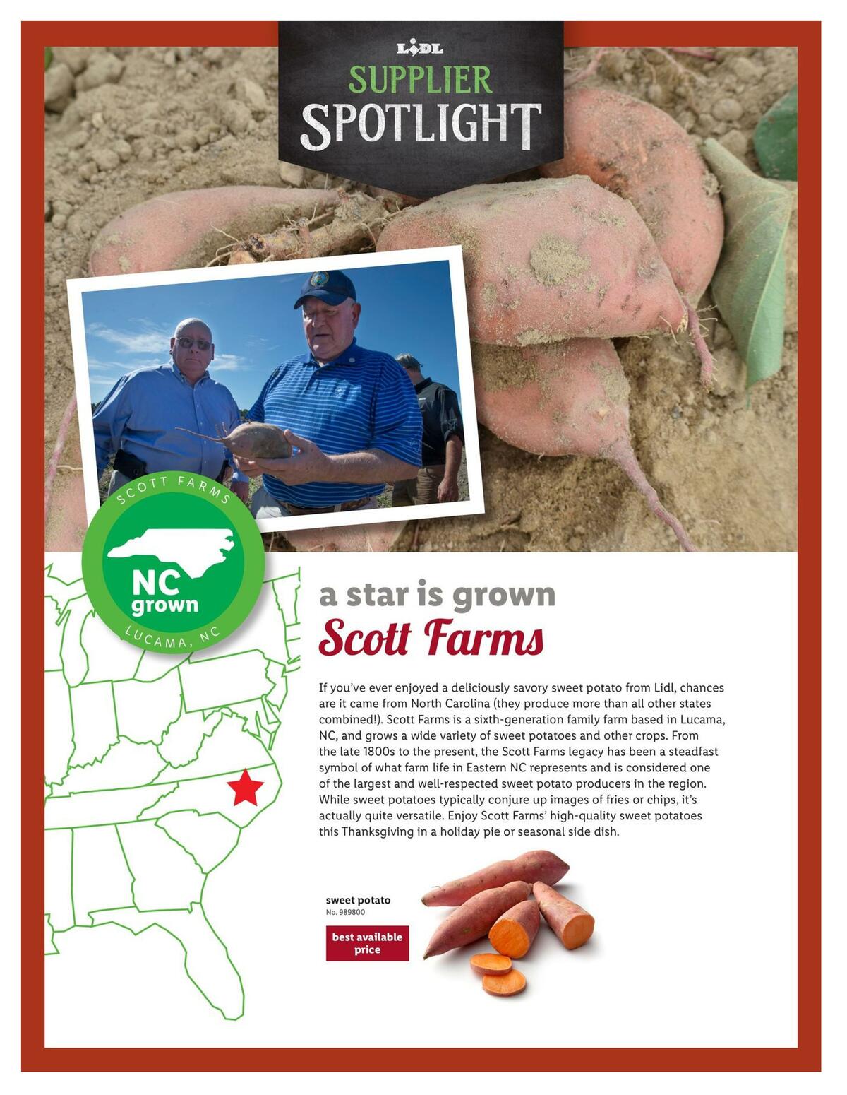 LIDL Magazine Weekly Ad from October 28