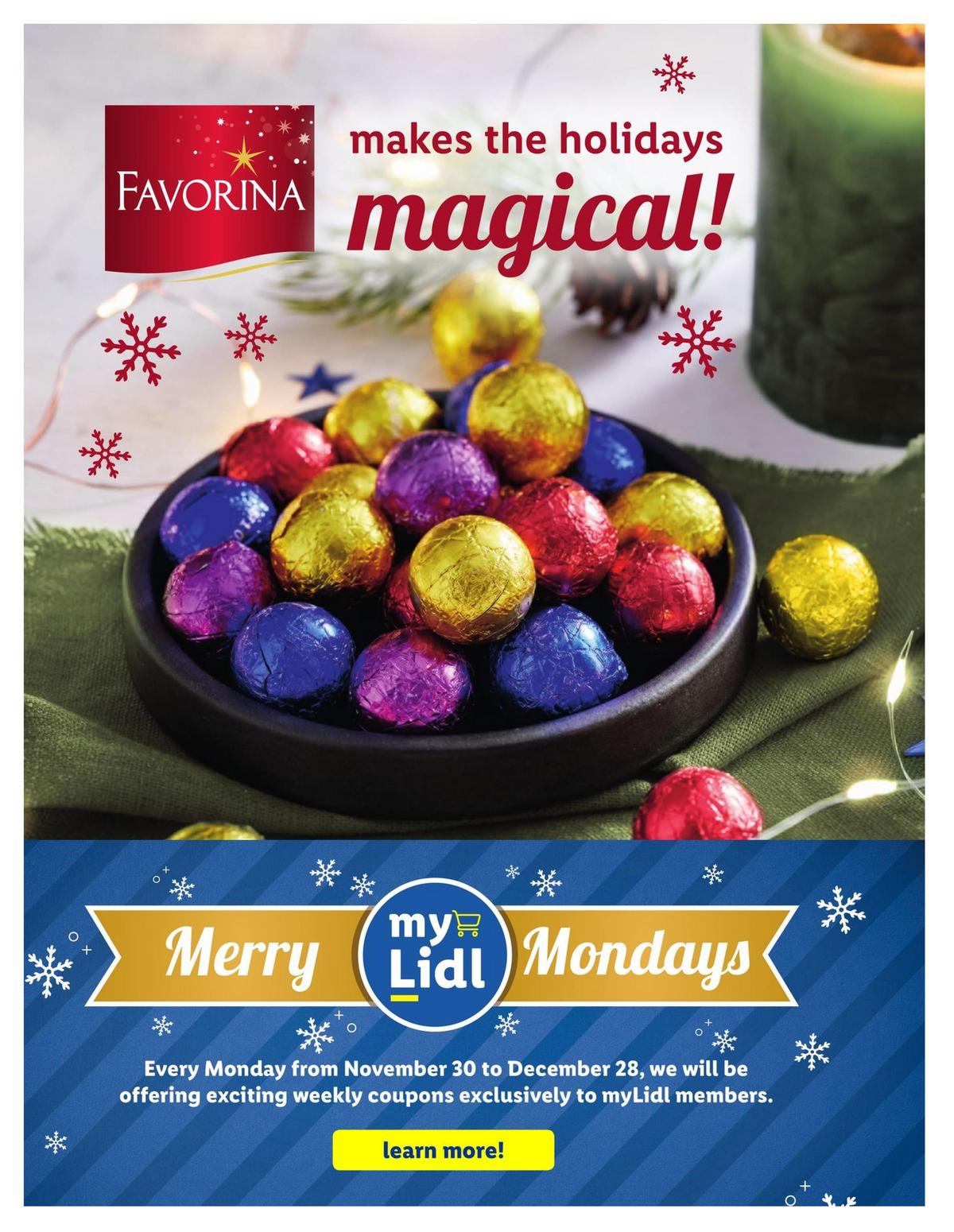 LIDL Magazine Weekly Ad from November 25
