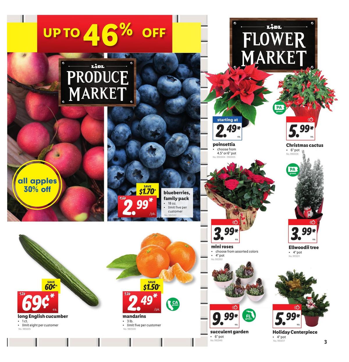 LIDL Weekly Ad from December 9