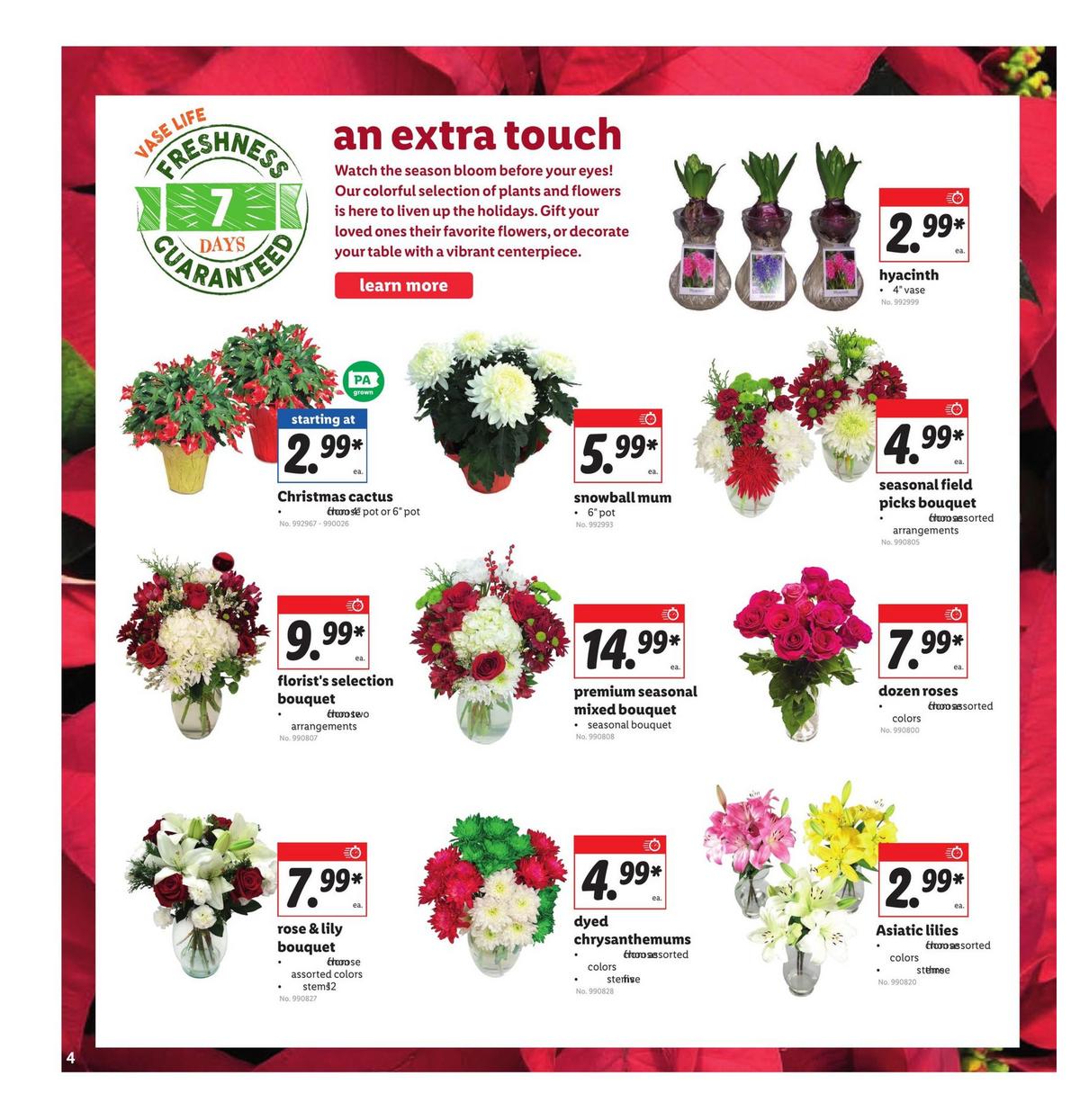 LIDL Weekly Ad from December 16