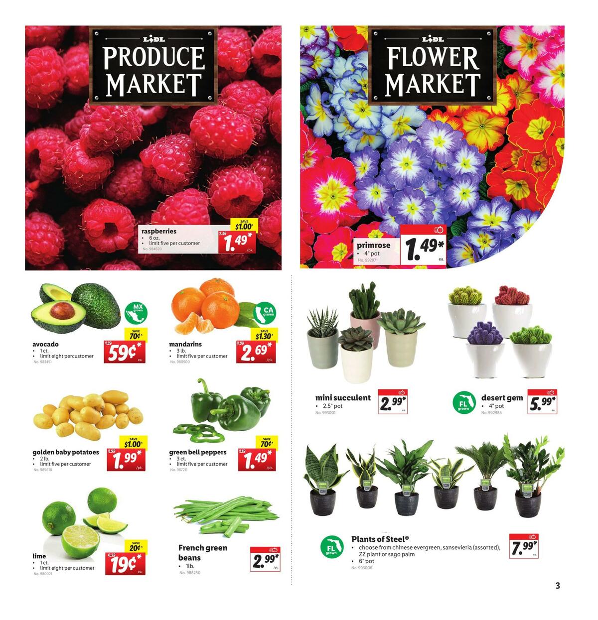 LIDL Weekly Ad from January 6