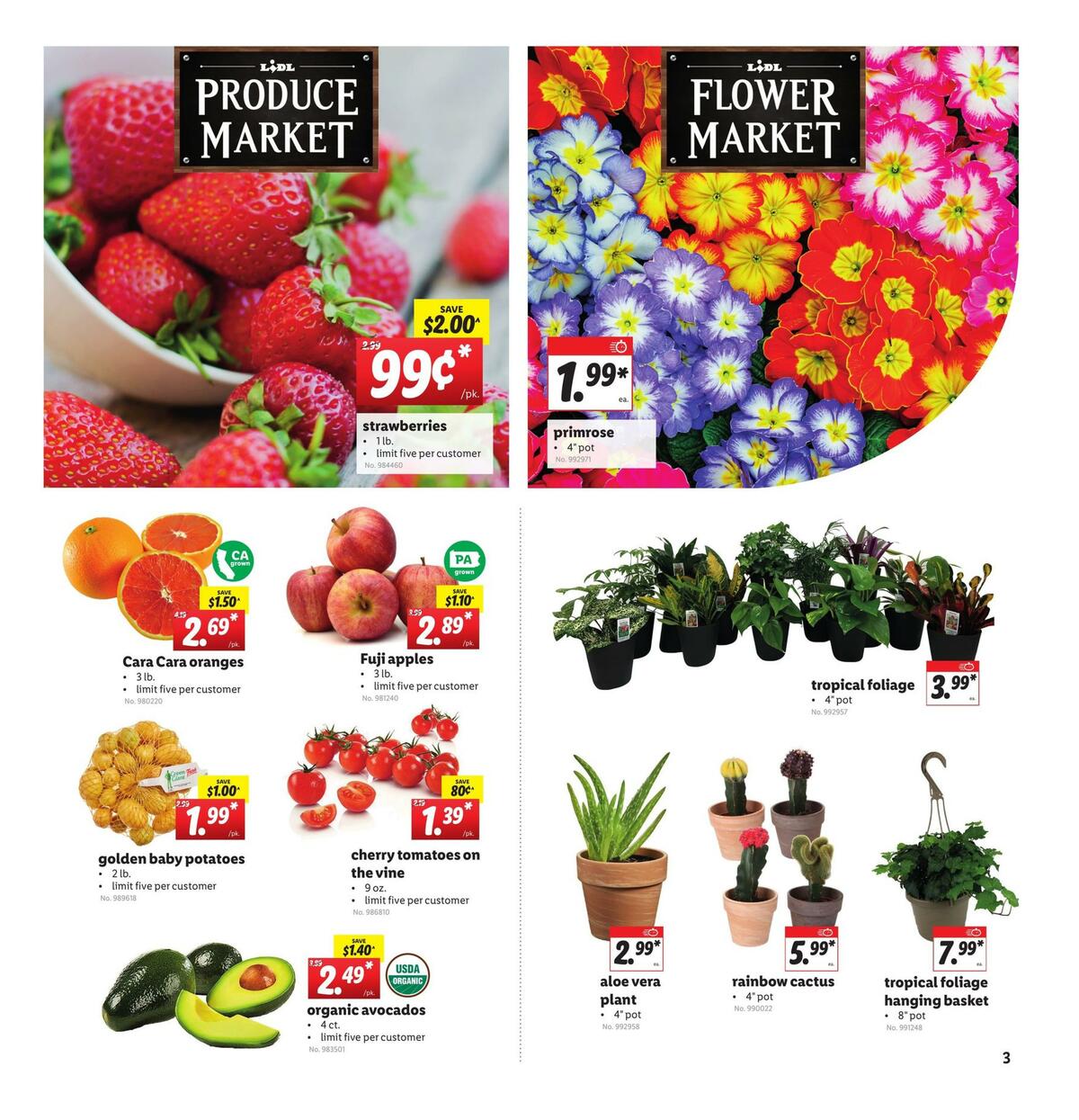 LIDL Weekly Ad from January 20