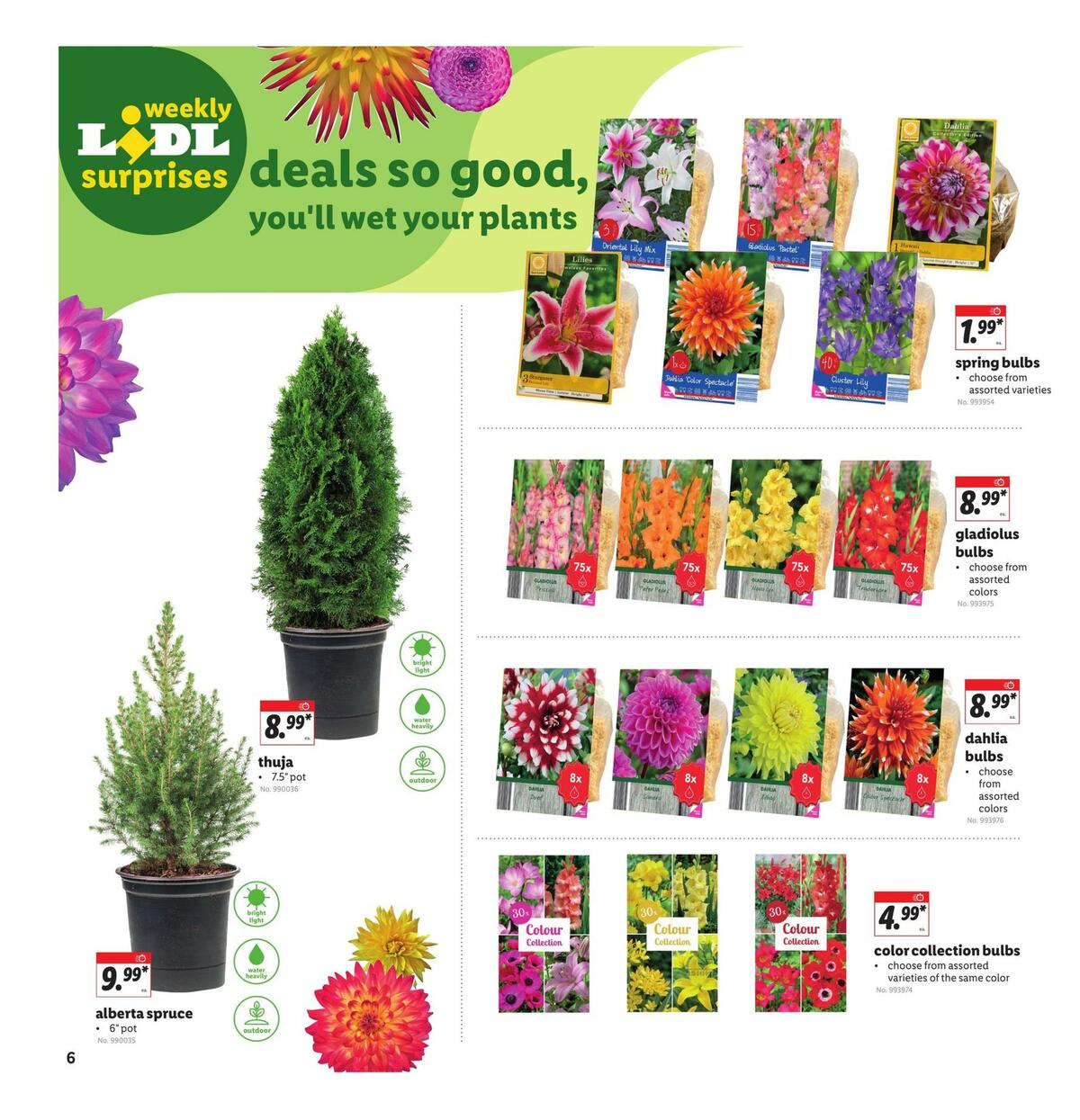 LIDL Weekly Ad from March 10