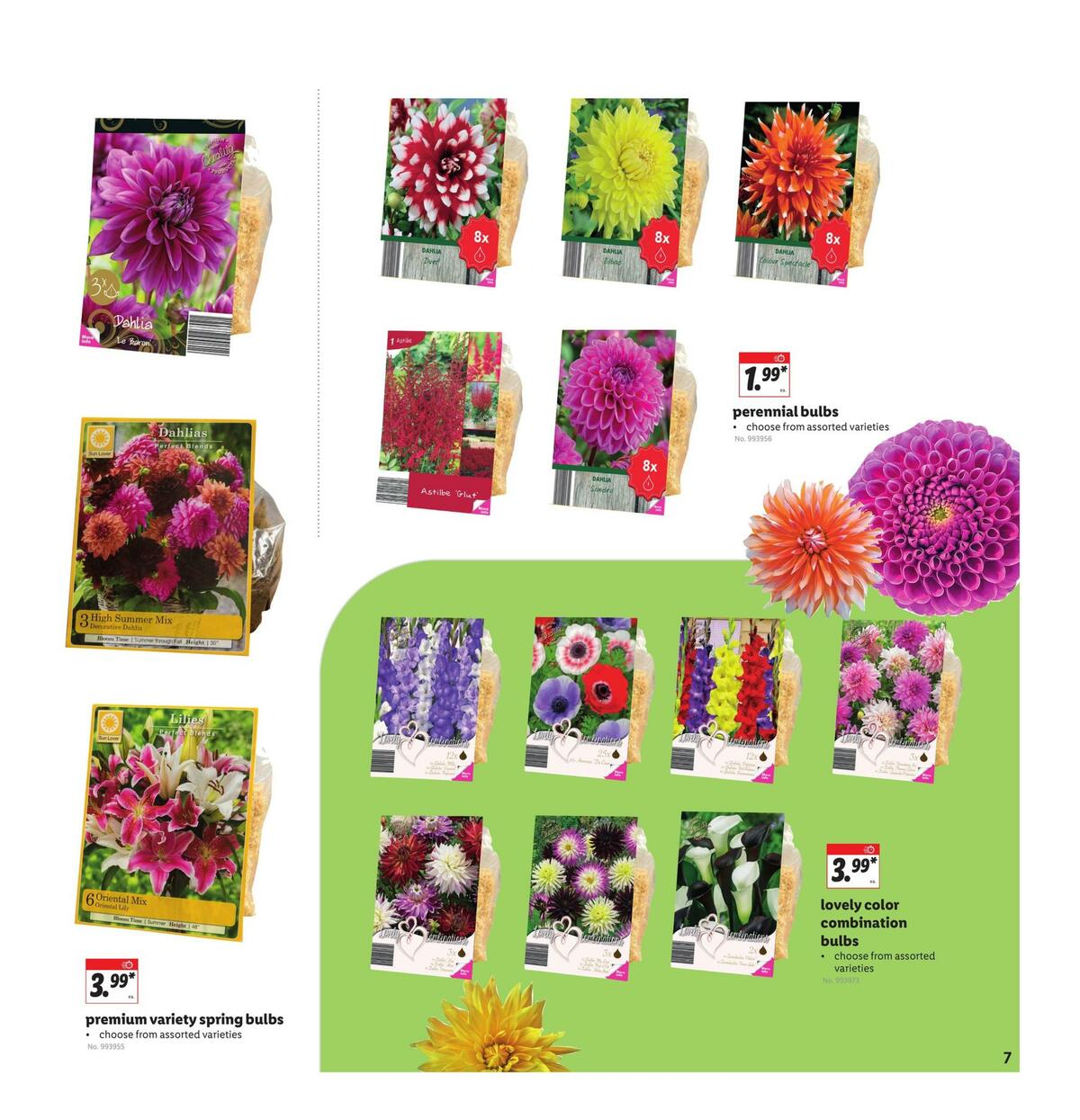 LIDL Weekly Ad from March 10