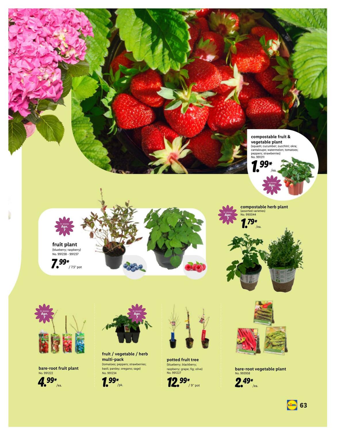 LIDL Magazine Weekly Ad from March 10