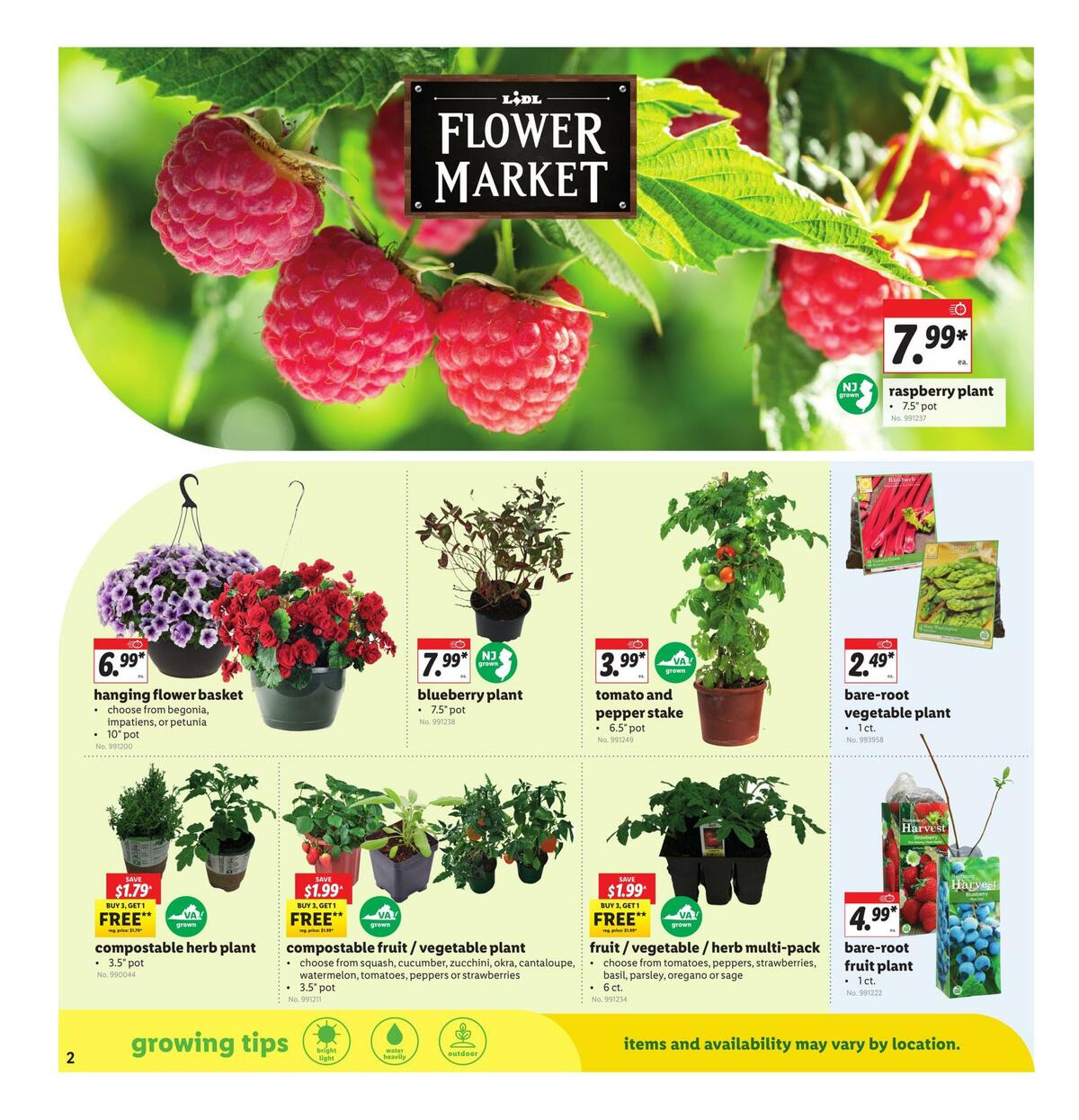 LIDL Weekly Ad from April 7