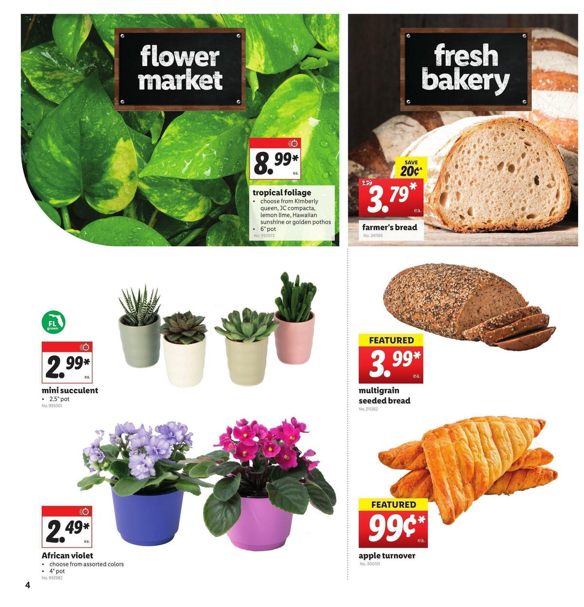 LIDL Weekly Ad from July 21