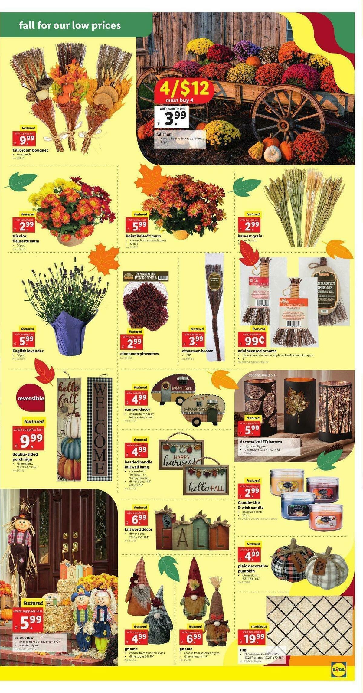 LIDL Weekly Ad from September 15