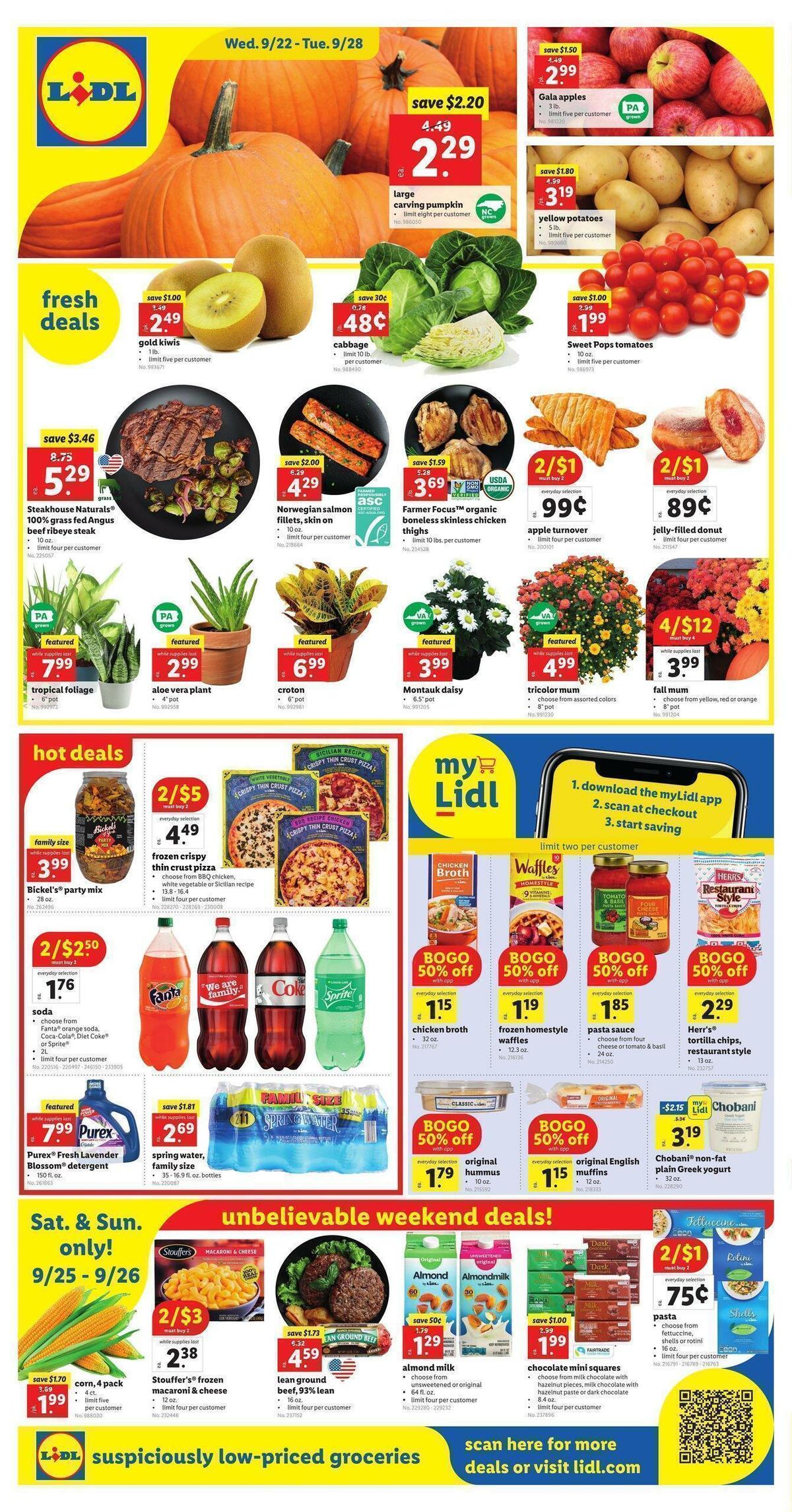 LIDL Weekly Ad from September 22