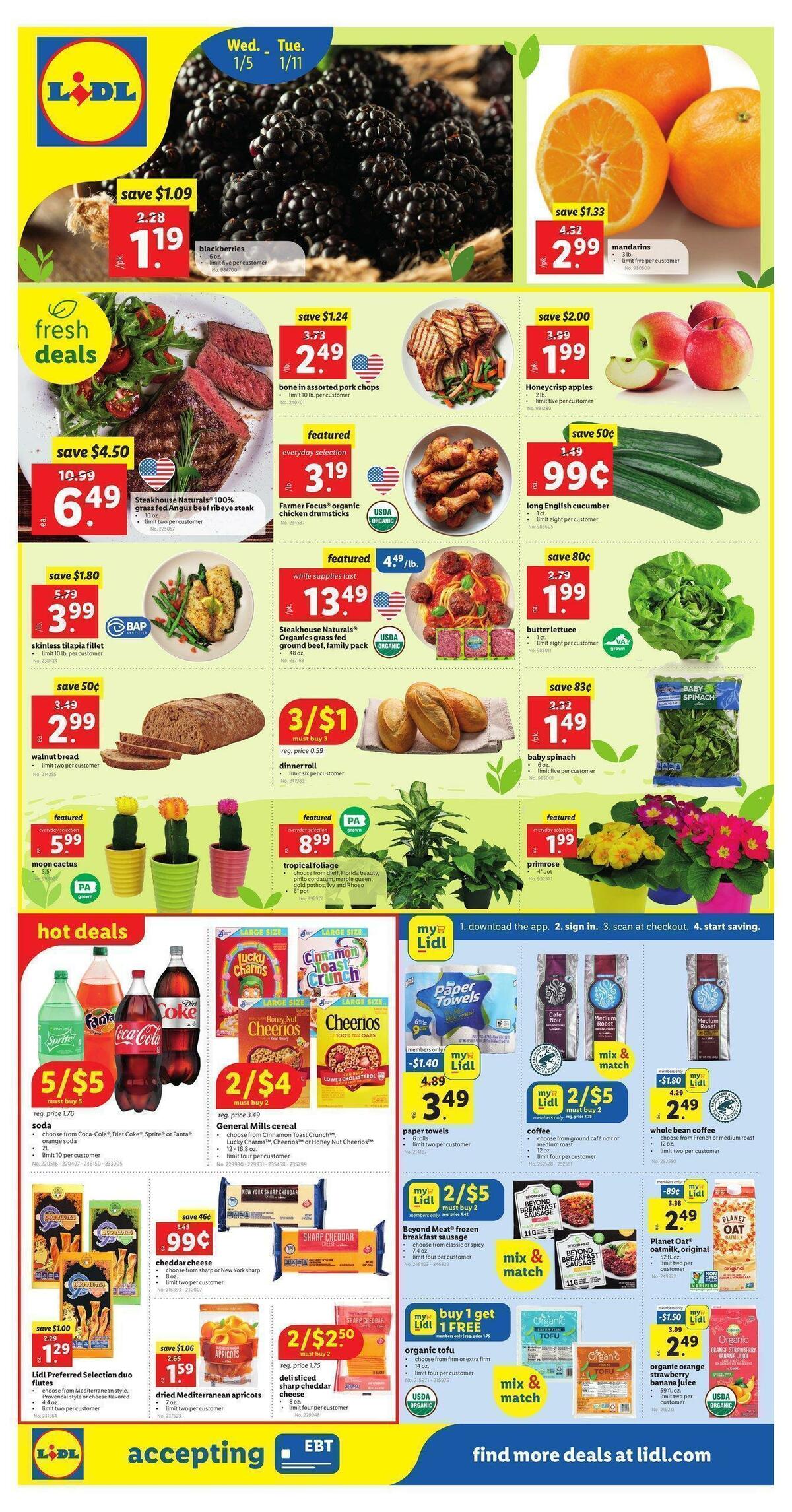 LIDL Weekly Ad from January 5