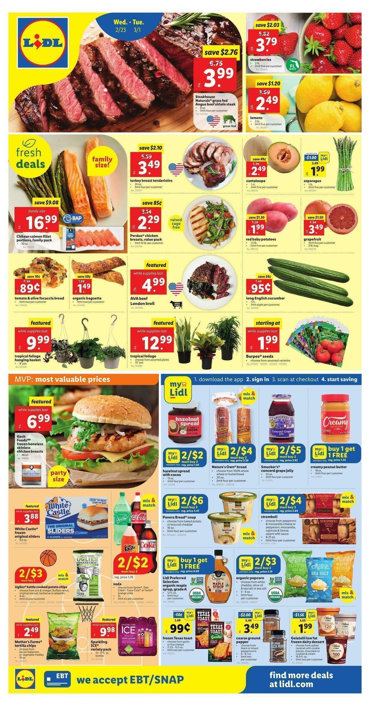 LIDL Weekly Ad from February 23