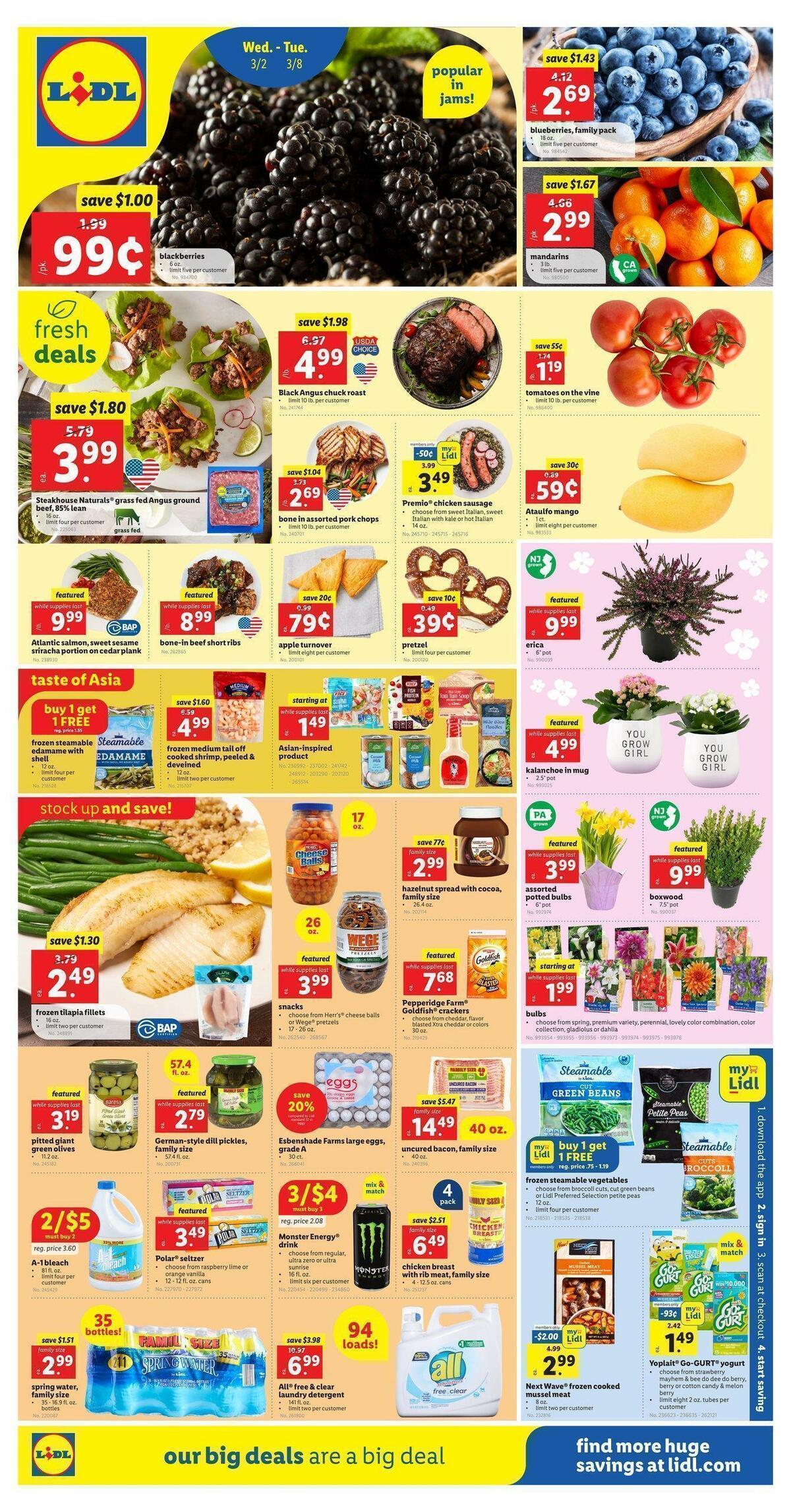 LIDL Weekly Ad from March 2