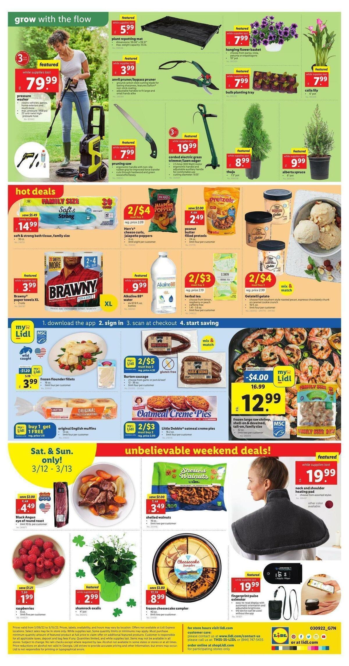 LIDL Weekly Ad from March 9
