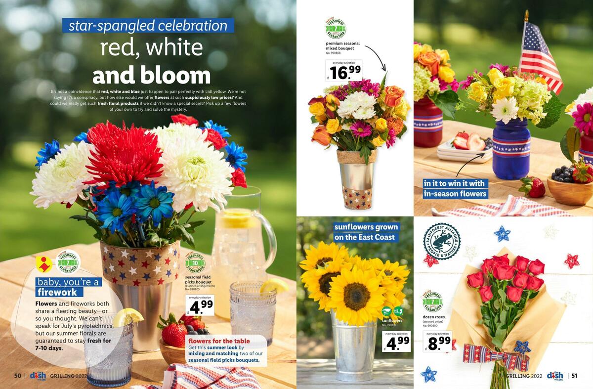 LIDL Magazine Weekly Ad from June 15