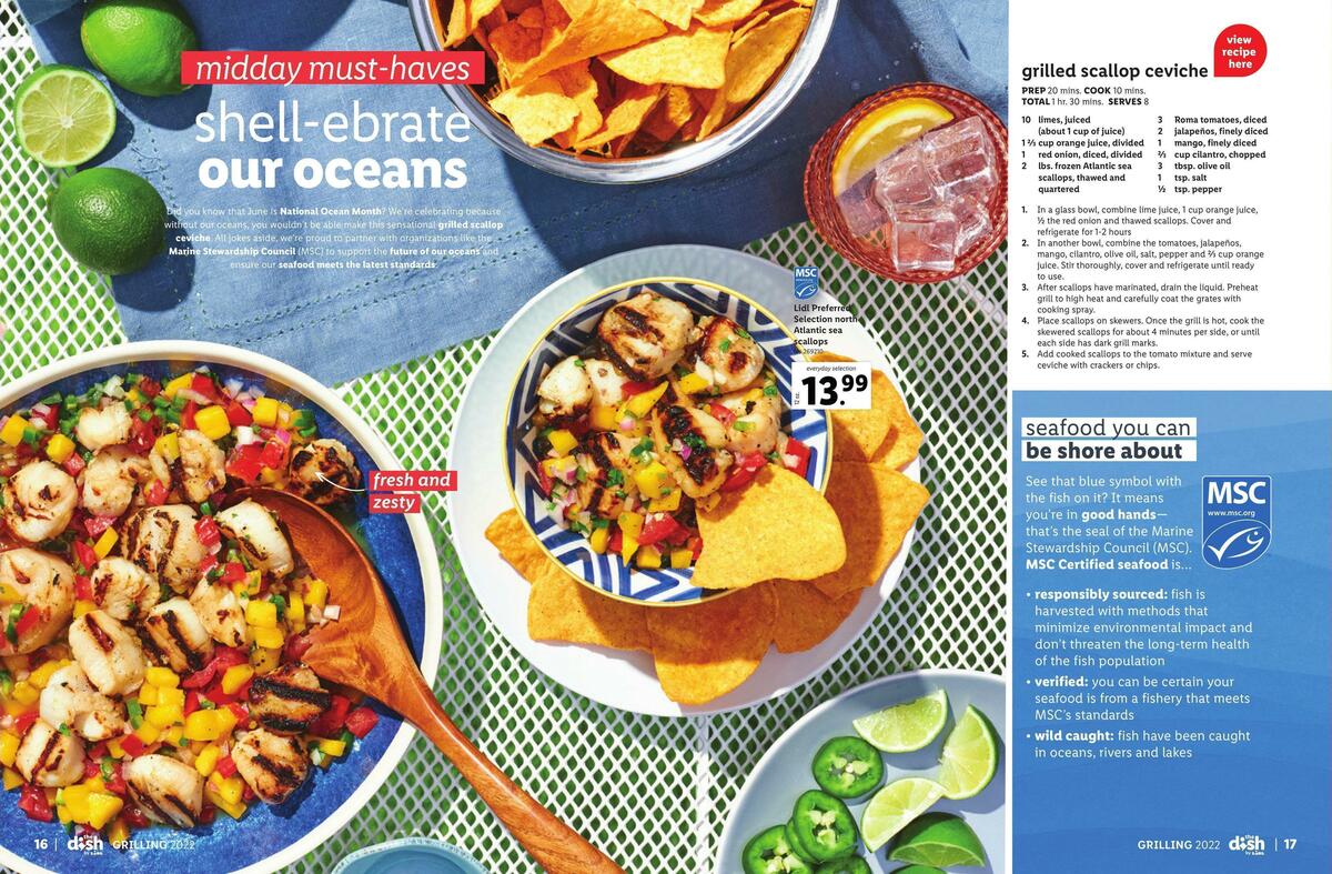 LIDL Magazine Weekly Ad from June 15