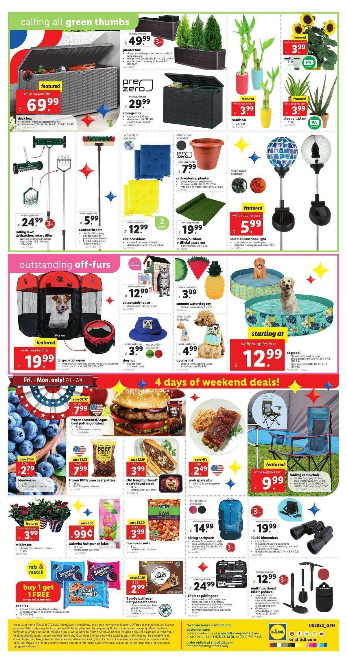 LIDL Weekly Ad from June 29