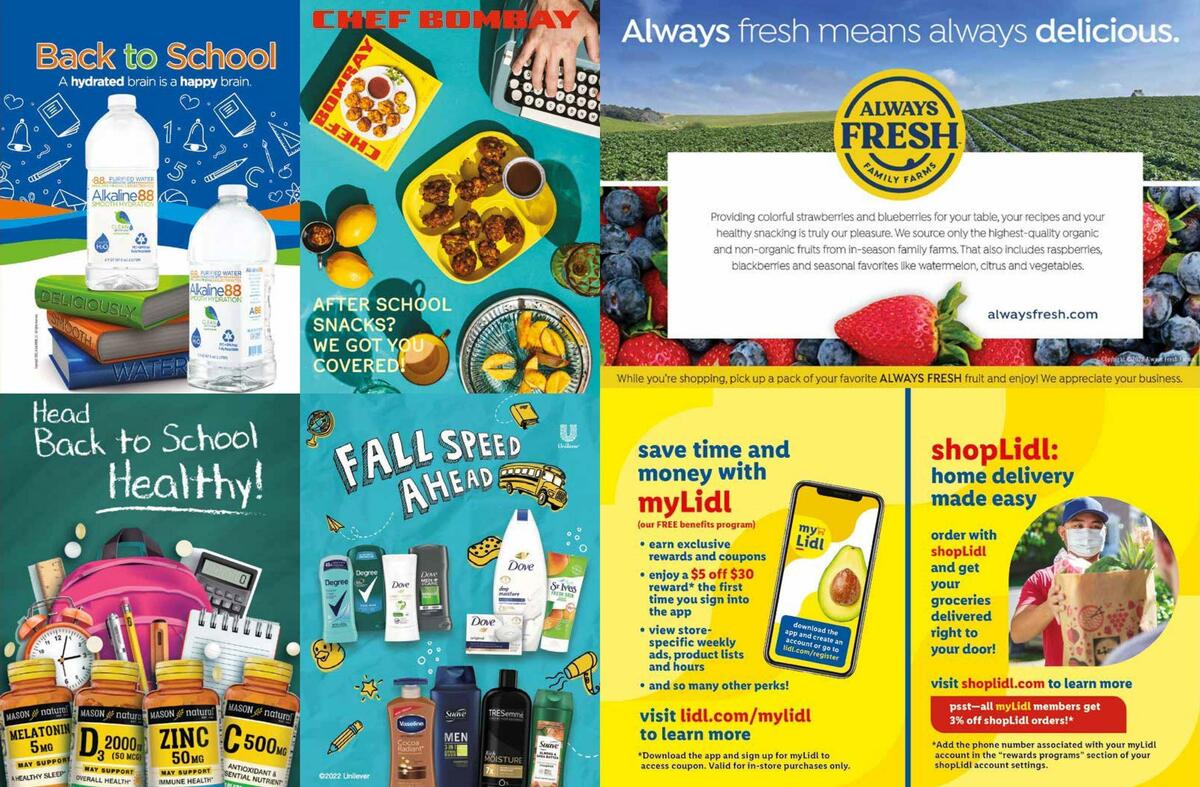 LIDL Magazine Weekly Ad from July 27
