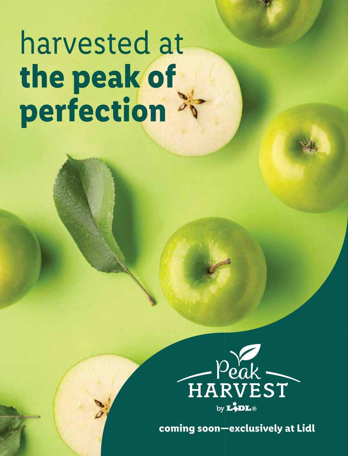 LIDL Magazine Weekly Ad from July 27