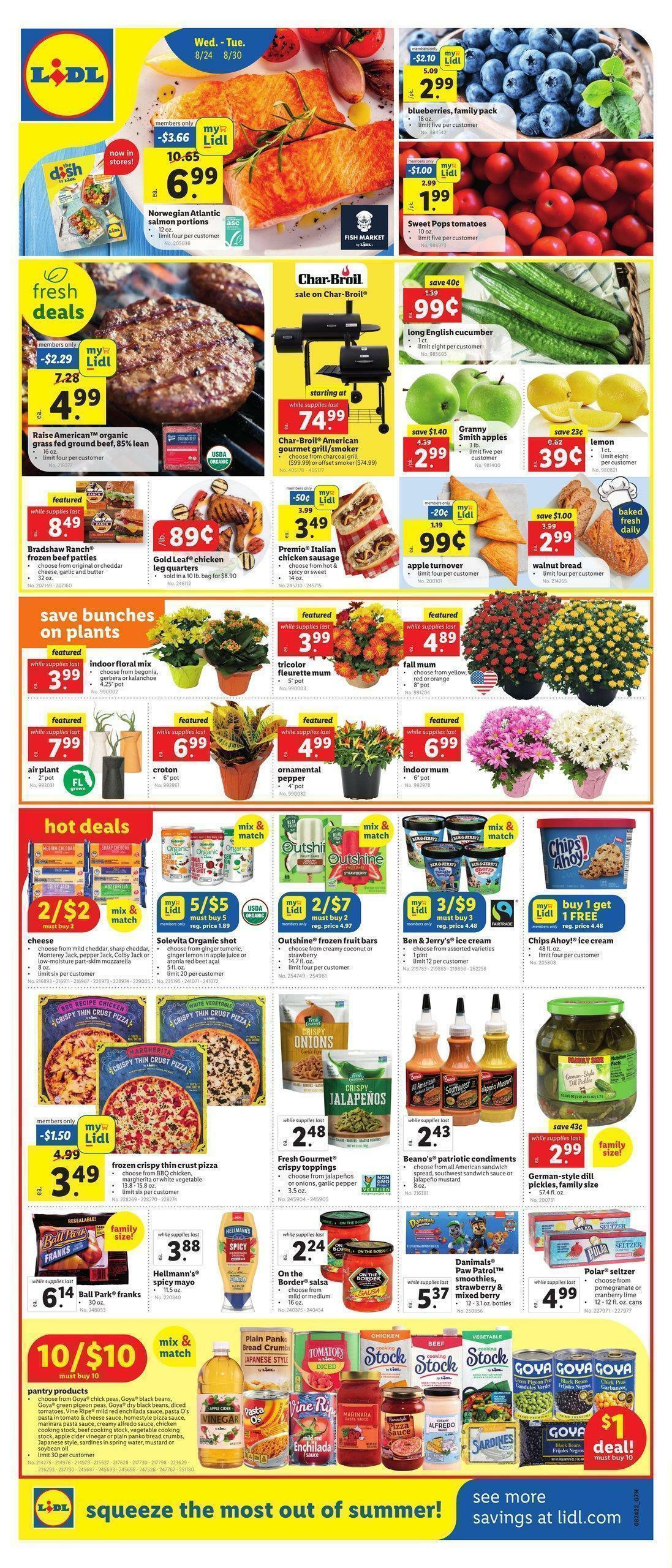 LIDL Weekly Ad from August 24