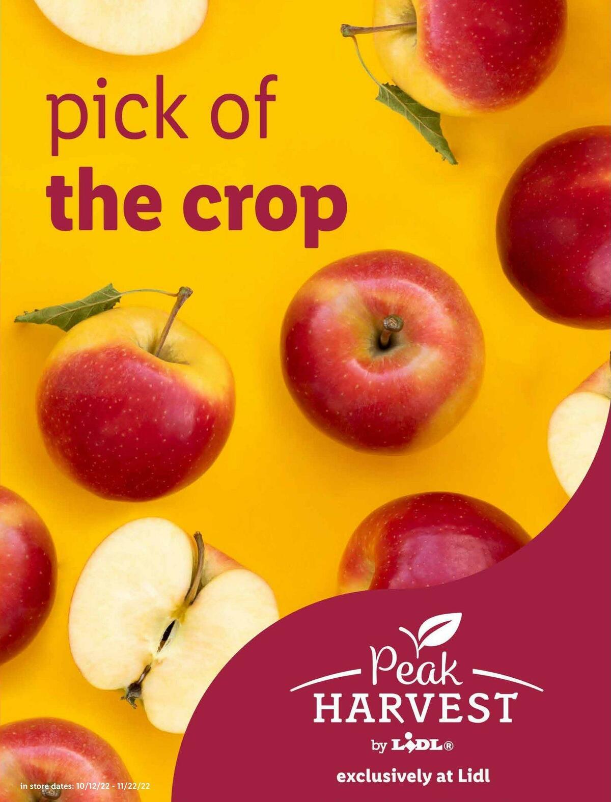 LIDL Thanksgiving Weekly Ad from October 12