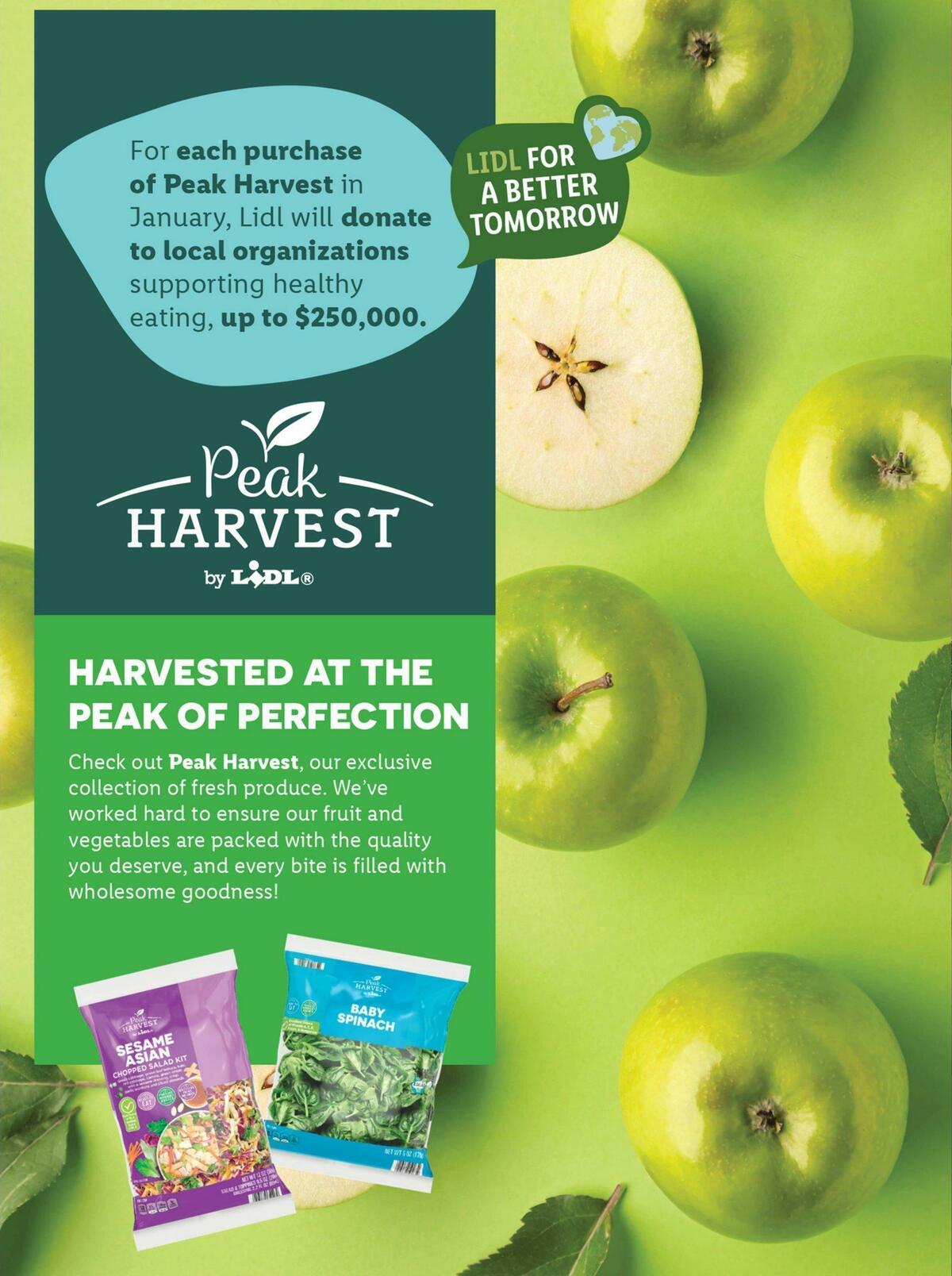 LIDL Weekly Ad from December 28