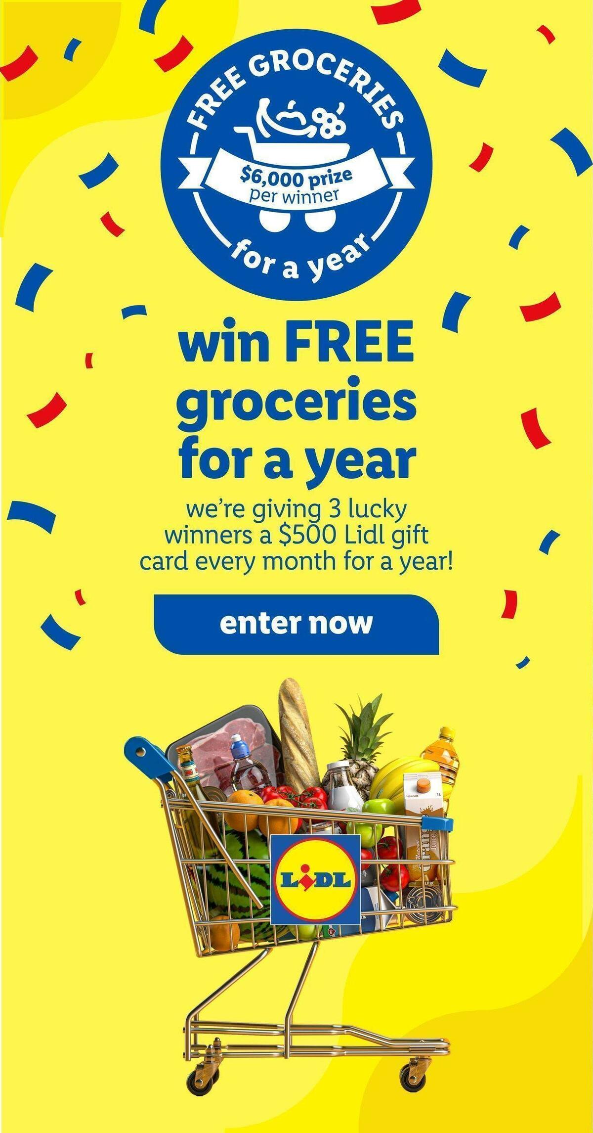 LIDL Weekly Ad from January 4