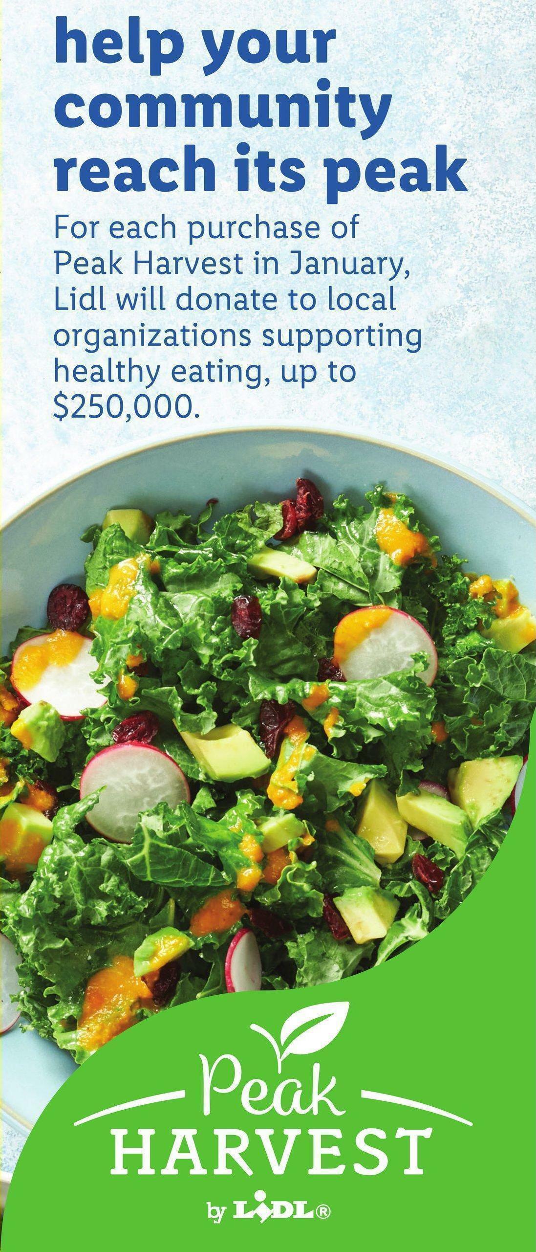 LIDL Weekly Ad from January 4