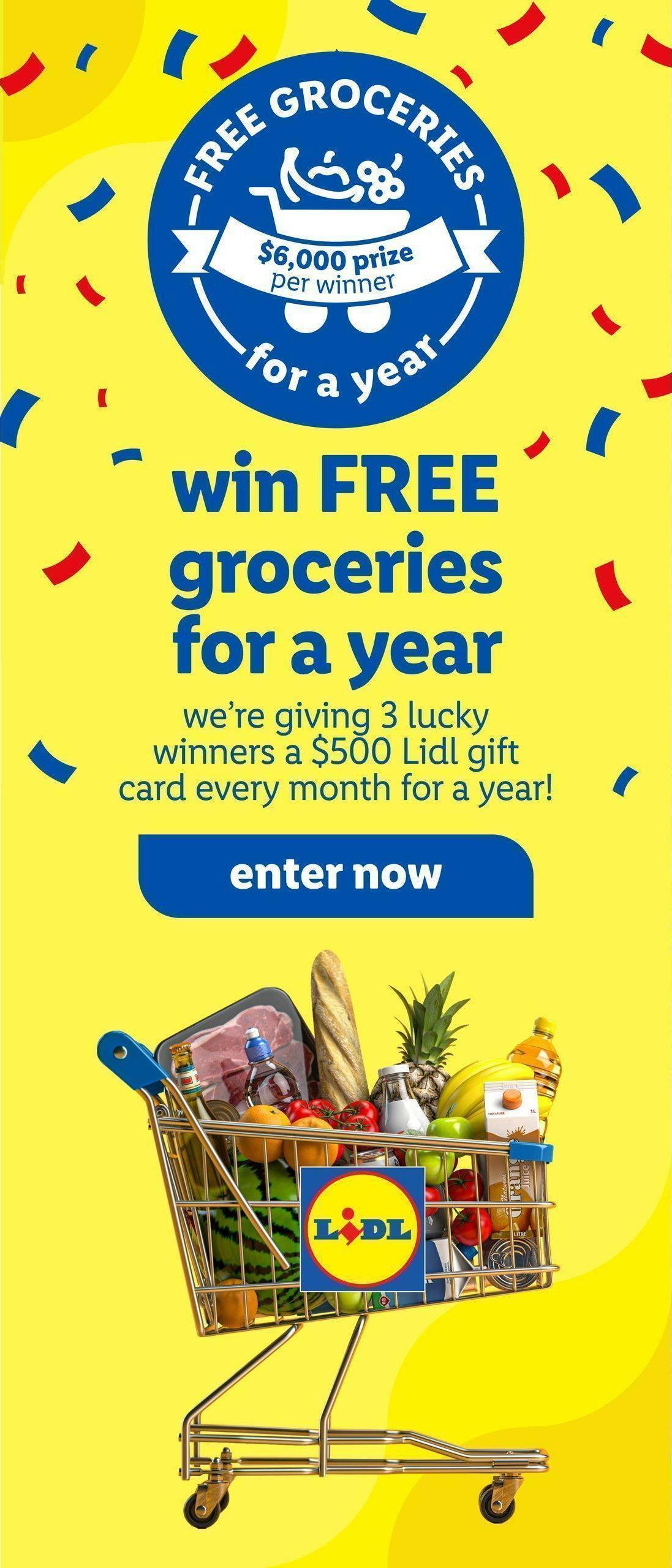 LIDL Weekly Ad from January 11