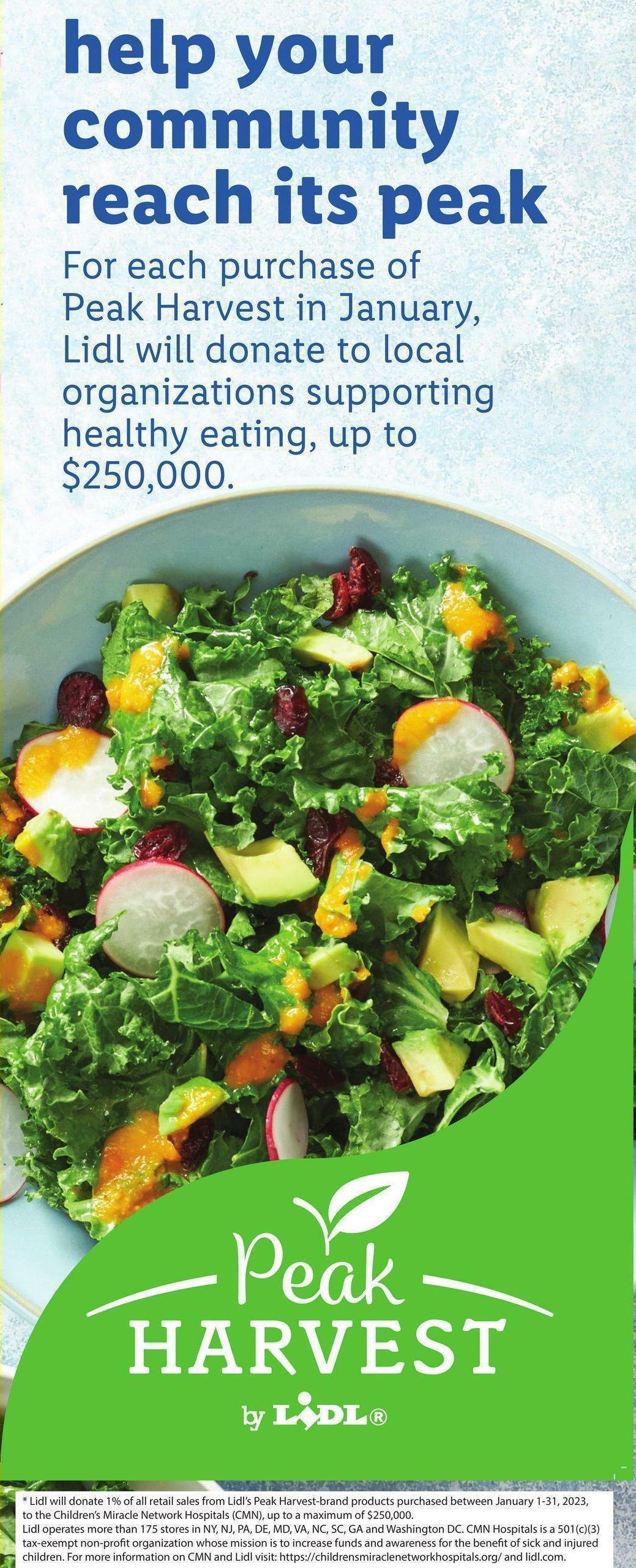 LIDL Weekly Ad from January 11