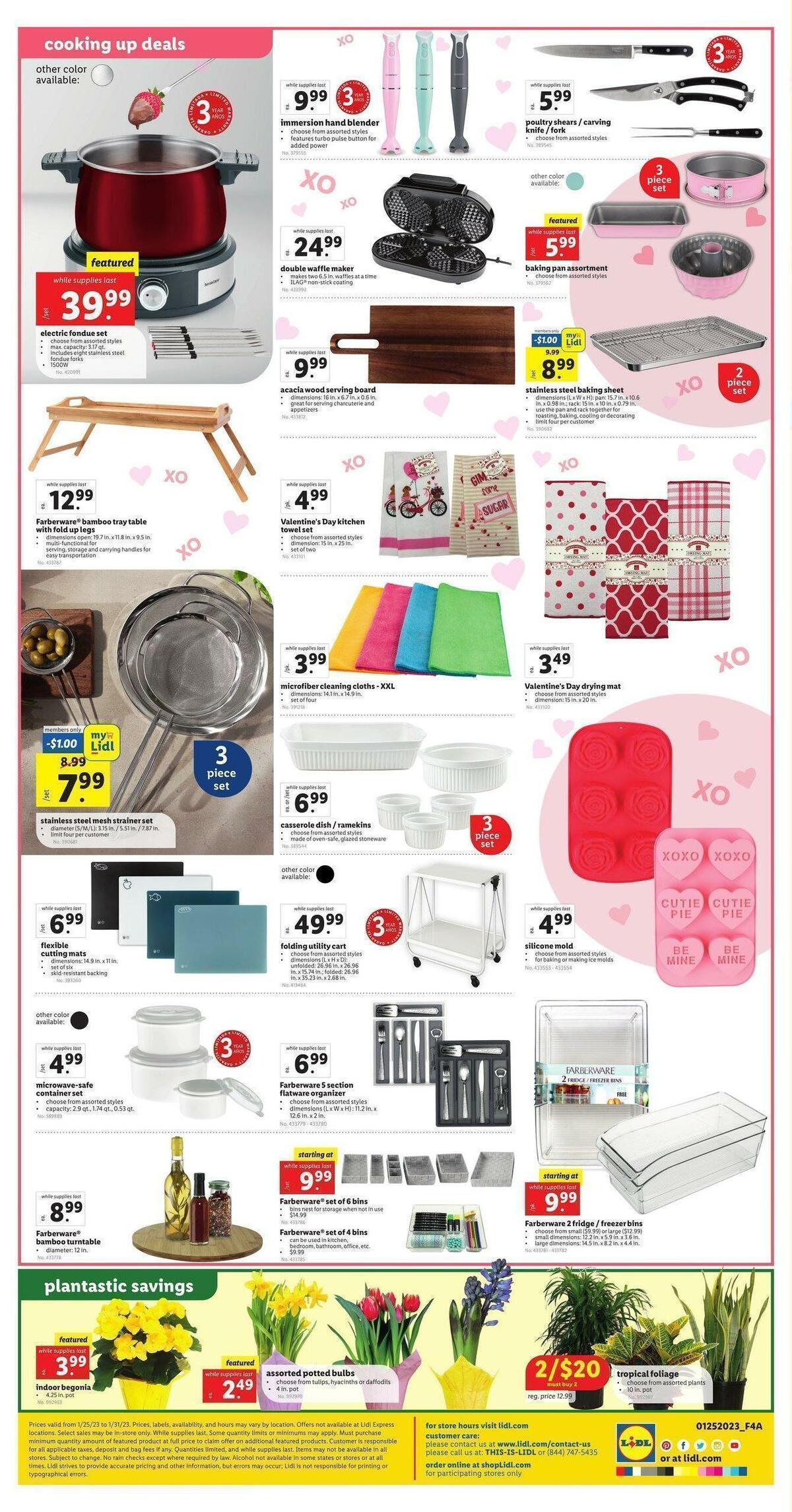 LIDL Weekly Ad from January 25