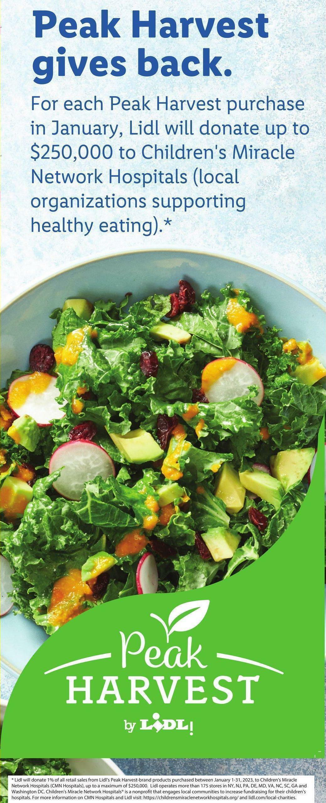 LIDL Weekly Ad from January 25